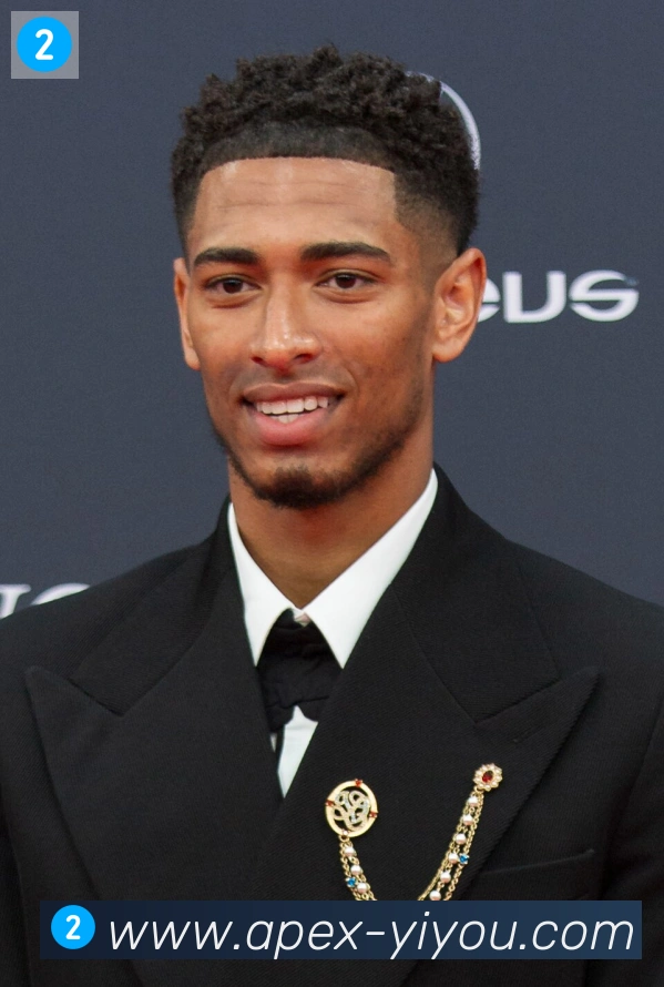 维尼修斯
